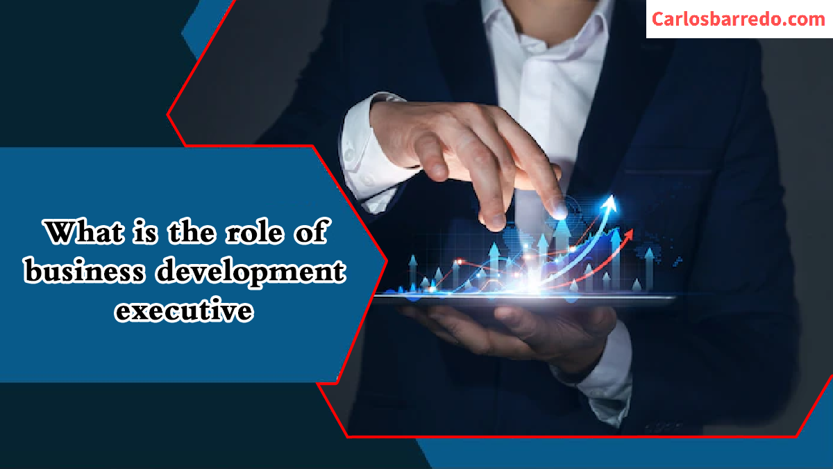 what is the role of business development executive